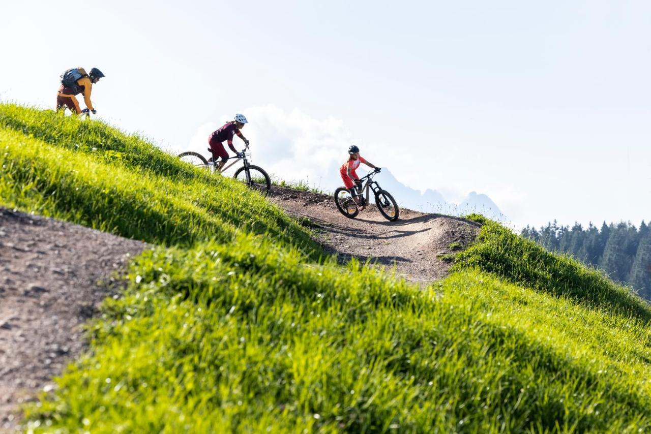 Alm Seasons Premium Chalet & Studios Saalbach-Hinterglemm Esterno foto