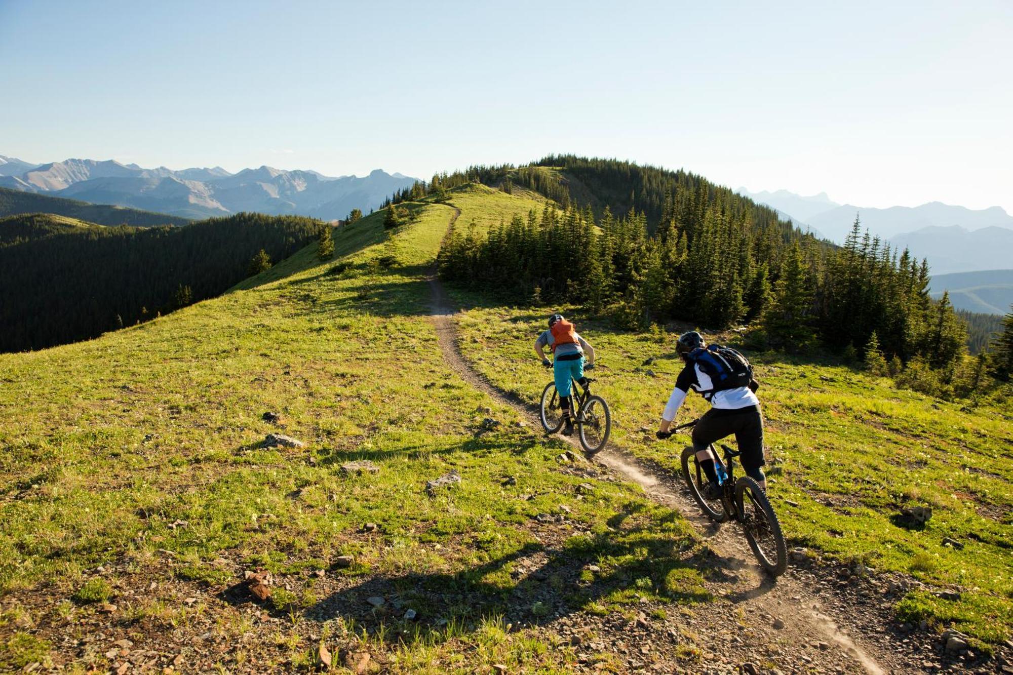 Alm Seasons Premium Chalet & Studios Saalbach-Hinterglemm Esterno foto